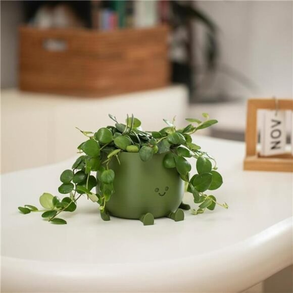 Happy Face Self Watering Planter Pot with Drainage Indoor Outdoor Succulent - Picture 2 of 8
